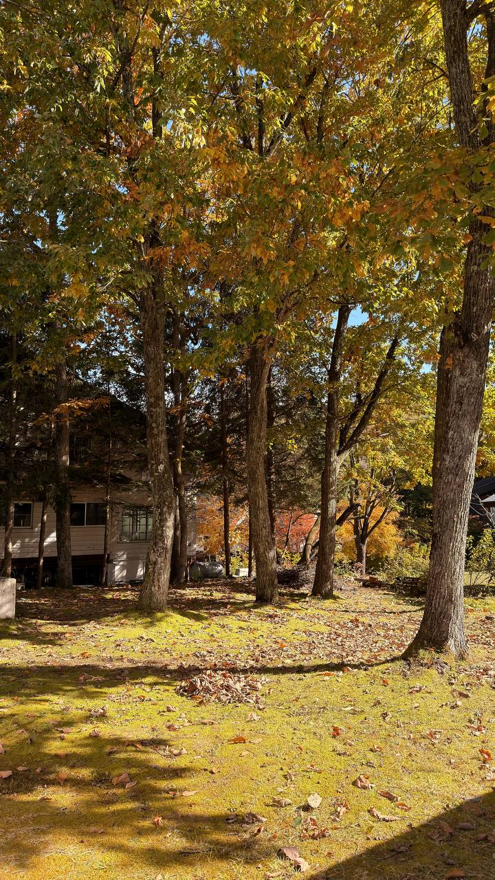 Maykiss area outdoor scene—drive baseline reference